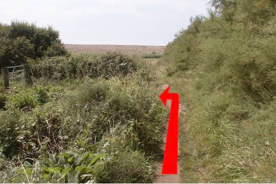 Walking direction photo: 9 for walk Around Chapel Hill, Abbotsbury, Dorset, Jurassic Coast.