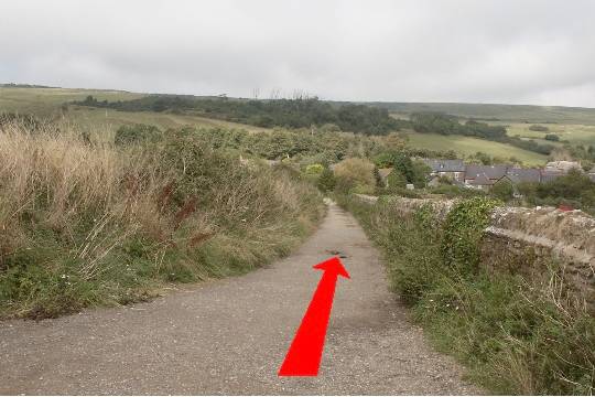 Walking direction photo: 21 for walk Around Chapel Hill, Abbotsbury, Dorset, Jurassic Coast.