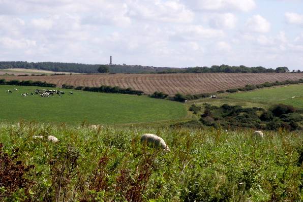 Picture, Photo, View of Abbotsbury, Dorset