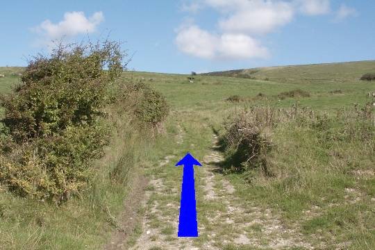 Walk direction photograph: 4 for walk Up White Hill, Abbotsbury, Dorset, South West England.