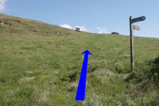 Walking direction photo: 5 for walk Up White Hill, Abbotsbury, Dorset, Jurassic Coast.