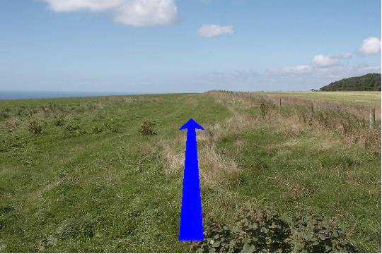 Walk direction photograph: 10 for walk Up White Hill, Abbotsbury, Dorset, South West England.