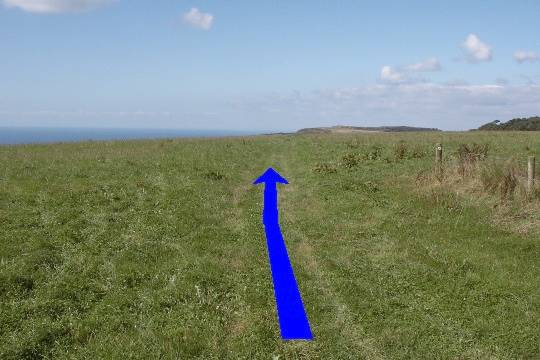 Walking direction photo: 11 for walk Up White Hill, Abbotsbury, Dorset, Jurassic Coast.