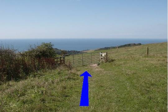 Walk direction photograph: 14 for walk Up White Hill, Abbotsbury, Dorset, South West England.