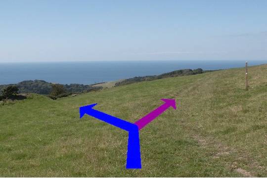 Walking direction photo: 15 for walk Up White Hill, Abbotsbury, Dorset, Jurassic Coast.