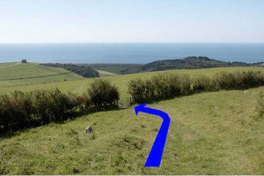 Walking direction photo: 17 for walk Up White Hill, Abbotsbury, Dorset, Jurassic Coast.