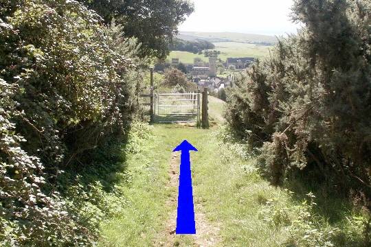 Walk direction photograph: 22 for walk Up White Hill, Abbotsbury, Dorset, South West England.