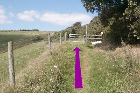 Walk direction photograph: 4 for walk Castle and Beach, Abbotsbury, Dorset, South West England.