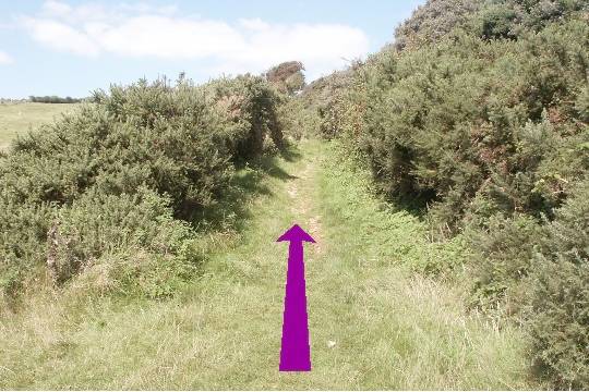 Walking direction photo: 5 for walk Castle and Beach, Abbotsbury, Dorset, Jurassic Coast.