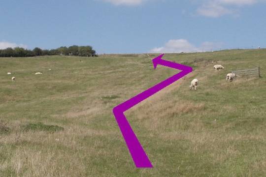 Walk direction photograph: 6 for walk Castle and Beach, Abbotsbury, Dorset, South West England.