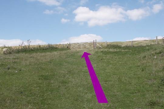 Walking direction photo: 7 for walk Castle and Beach, Abbotsbury, Dorset, Jurassic Coast.