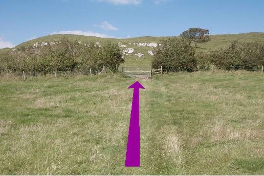 Walk direction photograph: 8 for walk Castle and Beach, Abbotsbury, Dorset, South West England.