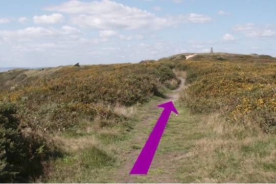Walking direction photo: 15 for walk Castle and Beach, Abbotsbury, Dorset, Jurassic Coast.