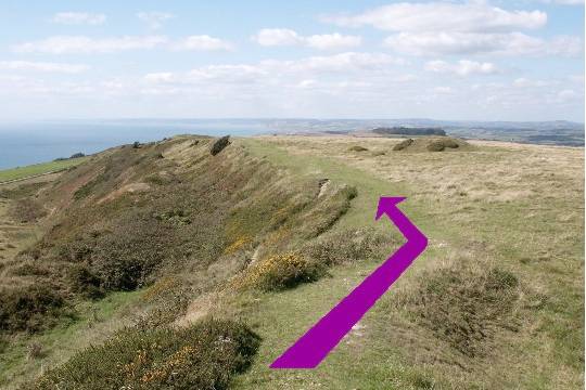 Walk direction photograph: 16 for walk Castle and Beach, Abbotsbury, Dorset, South West England.