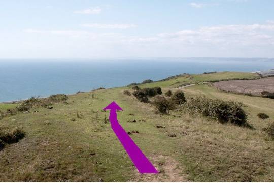 Walking direction photo: 17 for walk Castle and Beach, Abbotsbury, Dorset, Jurassic Coast.