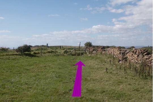 Walk direction photograph: 18 for walk Castle and Beach, Abbotsbury, Dorset, South West England.