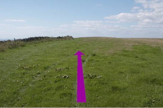 Walk direction photograph: 20 for walk Castle and Beach, Abbotsbury, Dorset, South West England.