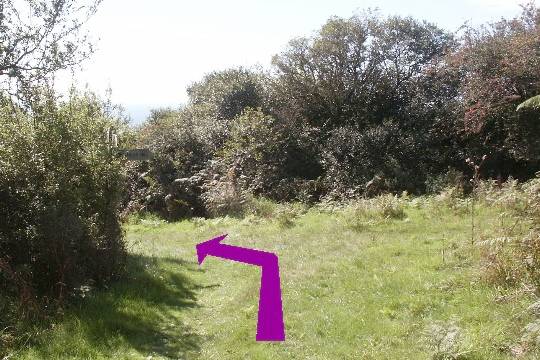 Walk direction photograph: 22 for walk Castle and Beach, Abbotsbury, Dorset, South West England.