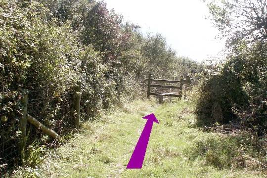 Walking direction photo: 23 for walk Castle and Beach, Abbotsbury, Dorset, Jurassic Coast.
