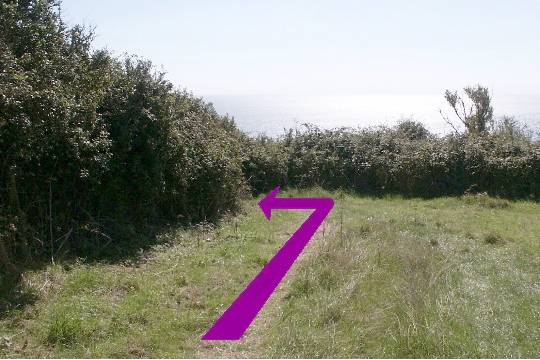 Walking direction photo: 25 for walk Castle and Beach, Abbotsbury, Dorset, Jurassic Coast.