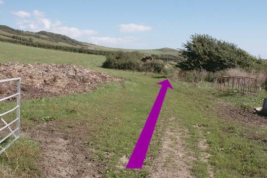 Walking direction photo: 27 for walk Castle and Beach, Abbotsbury, Dorset, Jurassic Coast.