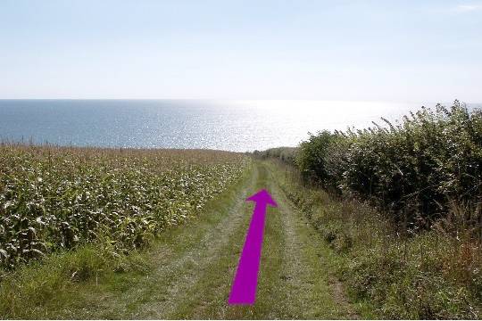 Walking direction photo: 29 for walk Castle and Beach, Abbotsbury, Dorset, Jurassic Coast.