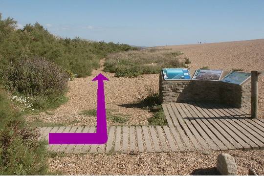 Walking direction photo: 33 for walk Castle and Beach, Abbotsbury, Dorset, Jurassic Coast.