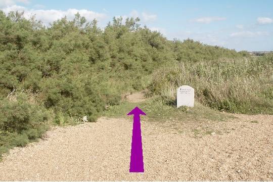 Walk direction photograph: 34 for walk Castle and Beach, Abbotsbury, Dorset, South West England.