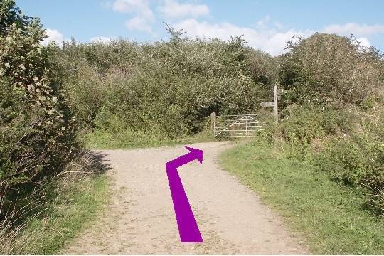 Walk direction photograph: 36 for walk Castle and Beach, Abbotsbury, Dorset, South West England.