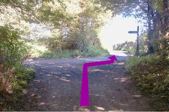 Walking direction photo: 37 for walk Castle and Beach, Abbotsbury, Dorset, Jurassic Coast.
