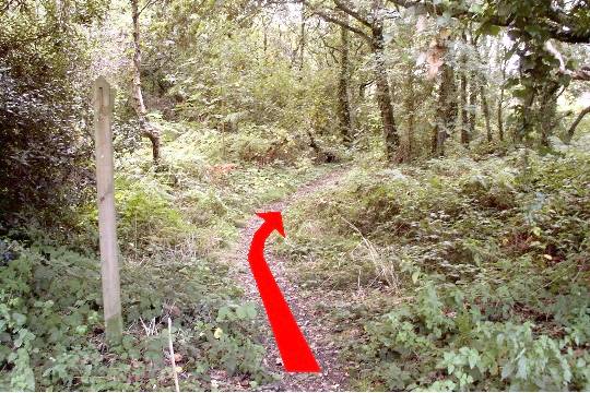 Walk direction photograph: 16 for walk Beware the Golf Balls, Barton on Sea, Hampshire, South and South East England.