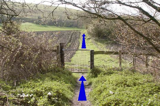 Walking direction photo: 9 for walk Compton Abbas, Fontmell, Dorset.