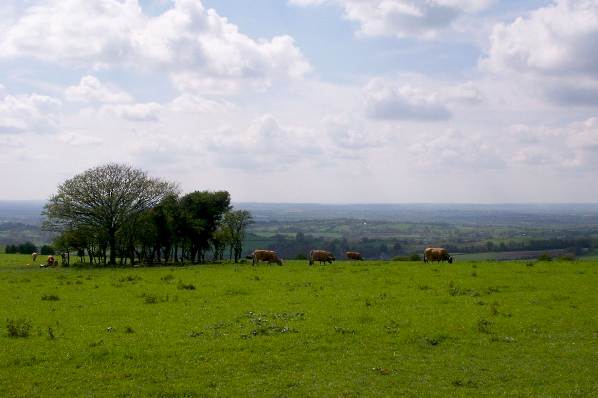 Picture, Photo, View of Fontmell, Dorset