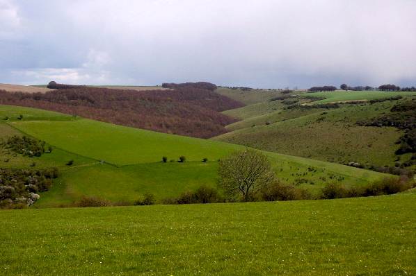 Picture, Photo, View of Fontmell, Dorset