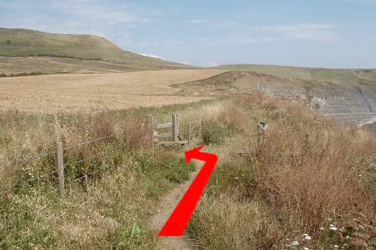 Walk direction photograph: 6 for walk Swyre Head, Kimmeridge Bay, Dorset, South West England.