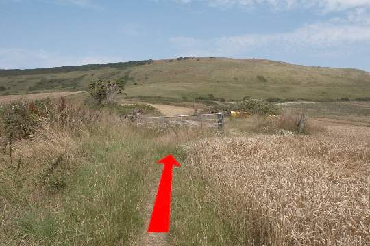 Walk direction photograph: 8 for walk Swyre Head, Kimmeridge Bay, Dorset, South West England.