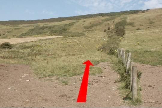 Walk direction photograph: 12 for walk Swyre Head, Kimmeridge Bay, Dorset, South West England.