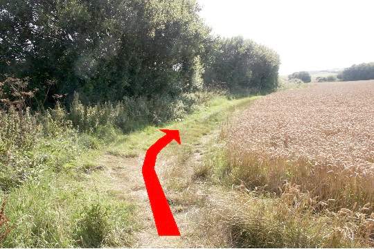 Walking direction photo: 29 for walk Swyre Head, Kimmeridge Bay, Dorset, Jurassic Coast.