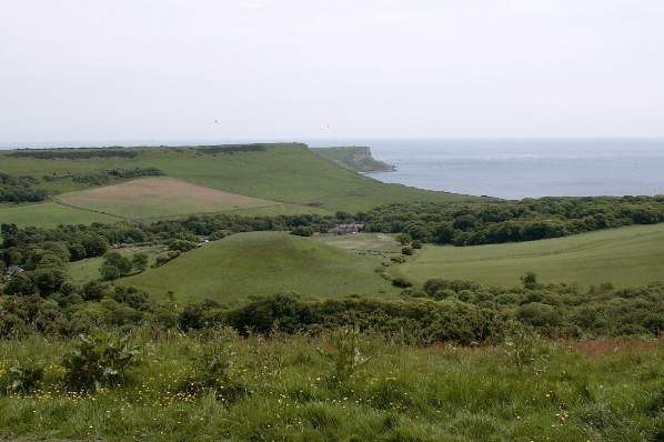 Picture, Photo, View of Kingston, Dorset