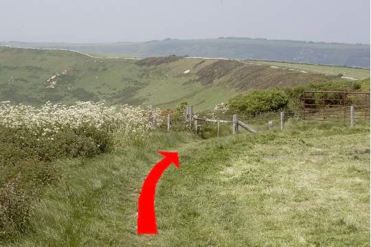 Walk direction photograph: 8 for walk Swyre Head, Kingston, Dorset, South West England.