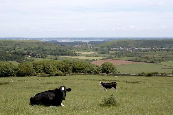 Picture, Photo, View of Kingston, Dorset