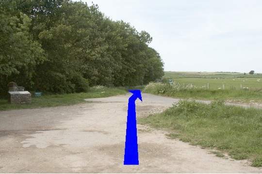 Walking direction photo: 1 for walk Corfe Castle Views, Kingston, Dorset.