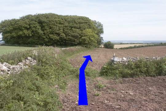 Walking direction photo: 5 for walk Corfe Castle Views, Kingston, Dorset.