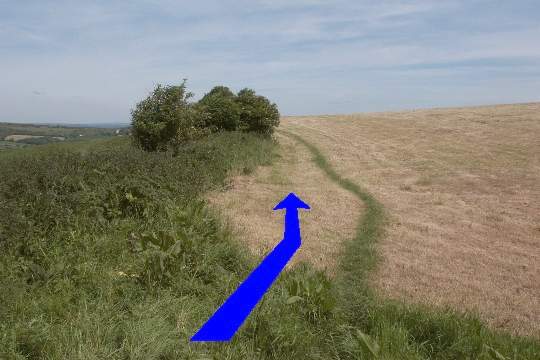 Walking direction photo: 7 for walk Corfe Castle Views, Kingston, Dorset.