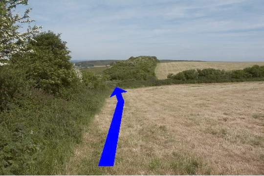 Walk direction photograph: 8 for walk Corfe Castle Views, Kingston, Dorset, South West England.