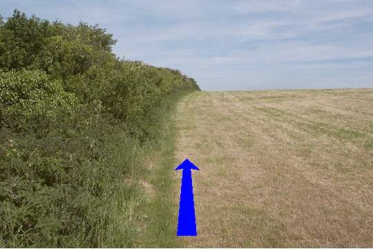 Walking direction photo: 9 for walk Corfe Castle Views, Kingston, Dorset.