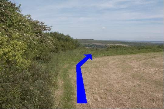 Walk direction photograph: 10 for walk Corfe Castle Views, Kingston, Dorset, South West England.