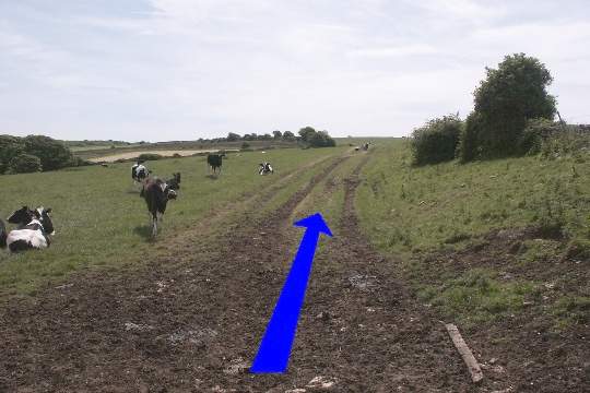 Walk direction photograph: 14 for walk Corfe Castle Views, Kingston, Dorset, South West England.