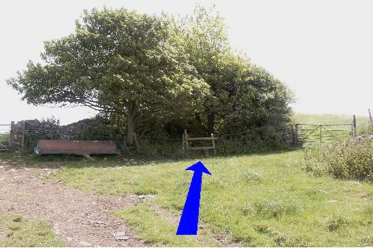 Walking direction photo: 15 for walk Corfe Castle Views, Kingston, Dorset.