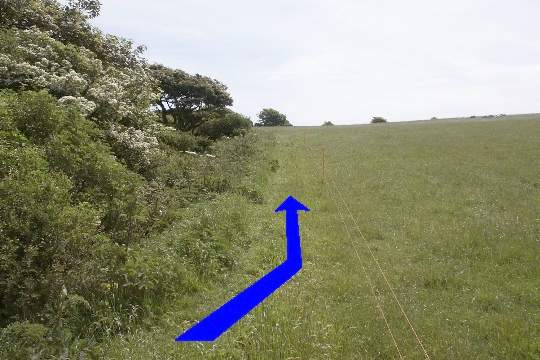 Walk direction photograph: 16 for walk Corfe Castle Views, Kingston, Dorset, South West England.